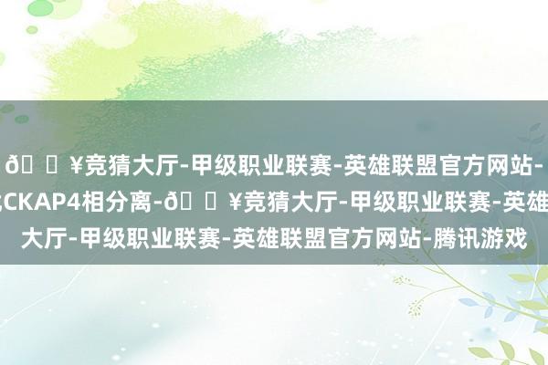 🔥竞猜大厅-甲级职业联赛-英雄联盟官方网站-腾讯游戏6己二醇阻扰CKAP4相分离-🔥竞猜大厅-甲级职业联赛-英雄联盟官方网站-腾讯游戏